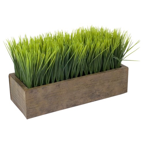 Potted Wheat Grass ? Rectangular by tag