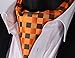 SetSense Men's Plaid Jacquard Woven Self Cravat Tie Ascot