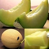 ���i�̏ڍ�