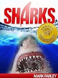Sharks! - Amazing Facts & Photos of Sharks for Kids with Videos