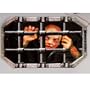24 Let Me Out Doormat (Battery Operated)