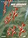 Red Arrows - Rolling in the Sky