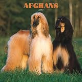 Afghans 2007 Calendar