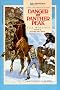 Danger on Panther Peek (Minstrel Book)