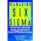 Six Sigma Guide