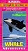 VHS : Audubon's Animal Adventures: Whale