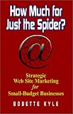 How Much for Just the Spider? Strategic Web Site Marketing for Small-Budget Businesses: Strategic Web Site Marketing for Small-Budget Businesses