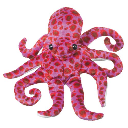 Octopus 10