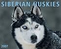 Siberian Huskies 2007 Calendar