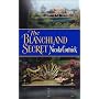 The Blanchland Secret (Harlequin Historical)