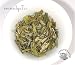 Darjeeling White Tea ~ 2 oz. box ~ SerendipiTea