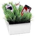 Charging Station - White/Green