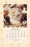 Amber s 1st Autumn Calendar 2002