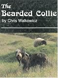 The Bearded Collie