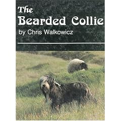 The Bearded Collie