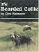 The Bearded Collie