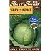 Ferry-Morse 2033 Cabbage Seeds, Ferry's Round Dutch (1.25 Gram Packet)