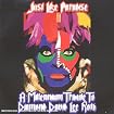 Just Like Paradise: A Millenium Tribute to Diamond David Lee Roth