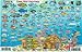 Turks & Caicos Dive Map & Reef Creatures Guide Franko Maps Laminated Fish Card