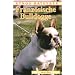 Franz�sische Bulldogge