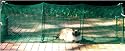 Kittywalk Outdoor Net Cat Enclosure for Decks, Patios, Balconies