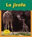 Search : La Jirafa / Giraffe (Animales Del Zoologico)