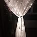 Led String Curtain Lights, Leaf 300led 9.8foot 8modes Linkable - White