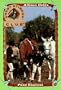 Pony Express Short Stirrup Club 10 (Short Stirrup)