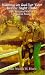Waiting on God for Your Divine Right Mate: God's Prepared Way for a Prepared People by Nicola M. Hurst ISBN 0759645841
