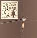 Search : Our Cabin Companion