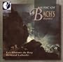 Music of Bach's Sons