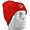 Houston Texans (Red)