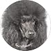 from Fridge Magnets Black Poodle Dog Sentiment Fridge Magnet Stocking Filler, Ref:AD-POD4FM