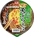 大黒軒 天ぷらそば 92g 2ケース(24食) 大黒食品