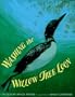 Washing the Willow Tree Loon