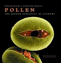 Pollen: The Hidden Sexuality of Flowers