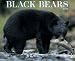 Book Black Bears 2007 Calendar