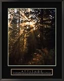Attitude Forest Framed Inspirational Poster