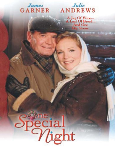 One Special Night Review - Does Net Movie Downloads Work