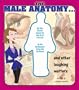 The Male Anatomy: And Other Laughing Matters