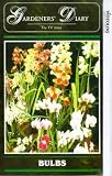  : Gardeners' Diary - Bulbs