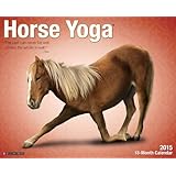 horse yoga 2015 wall calendar