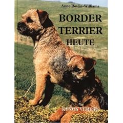 Border Terrier heute