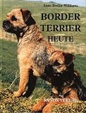 Border Terrier heute