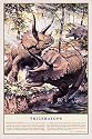 Triceratops Dinosaurs Animals Poster Print, 24x36