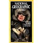 National Geographic's Braving Alaska [VHS]