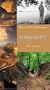 Mississippi (On the Road Histories)