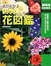 『色がわかる四季の花図鑑 (主婦の友新実用BOOKS) (主婦の友新実用BOOKS)』の写真