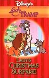 Lady's Christmas Surprise