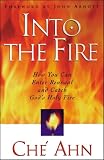 Into the Fire: How You Can Enter Renewal and Catch Gods Holy Fire